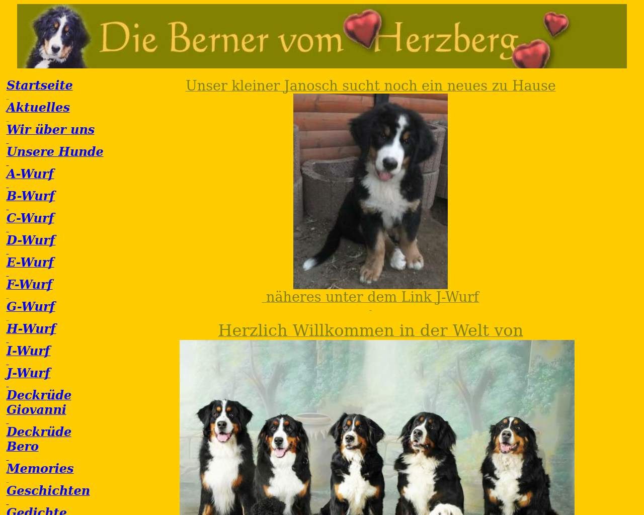 Bild Website berner-vom-herzberg.de in 1280x1024
