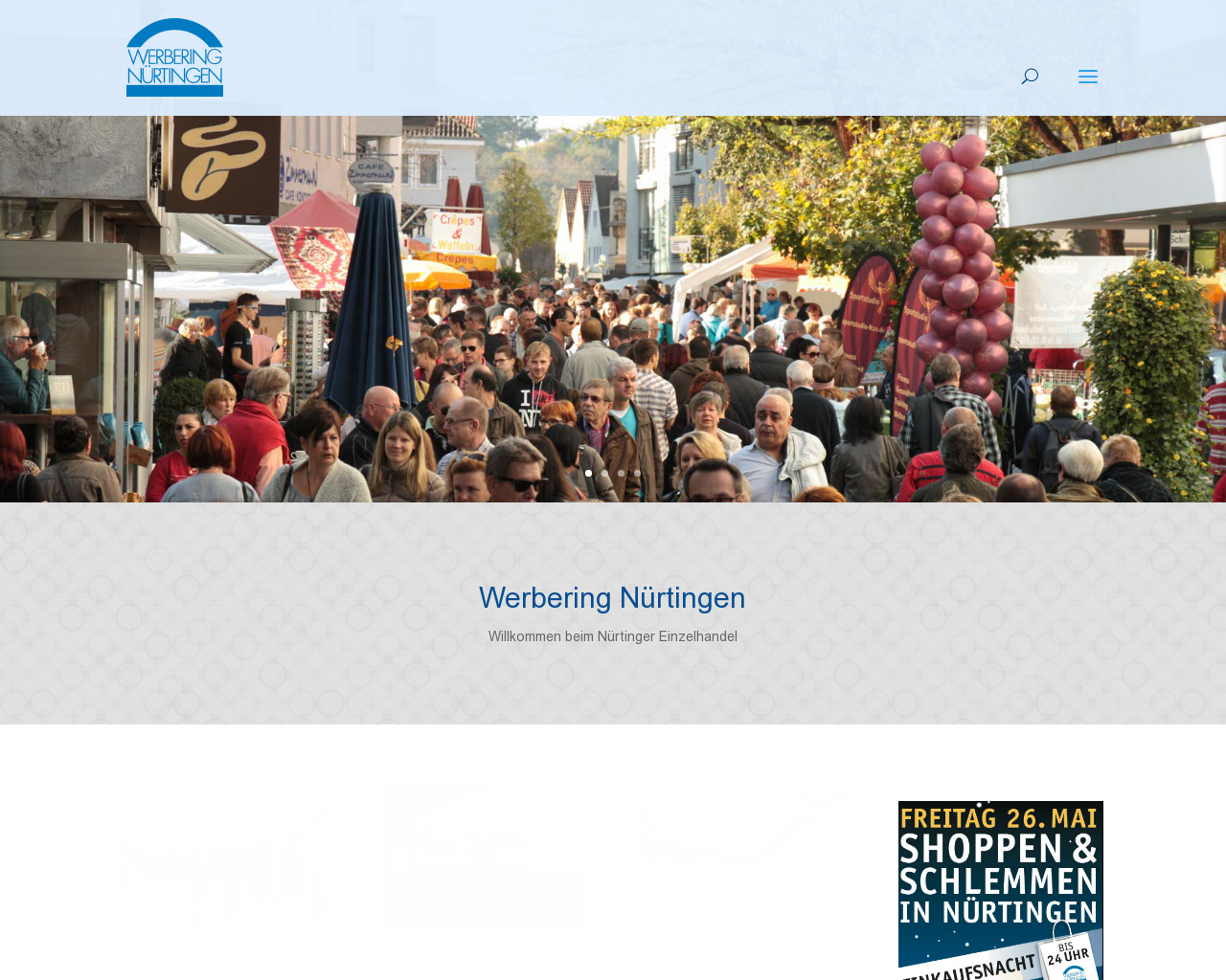 Bild Website werbering-nuertingen.de in 1280x1024